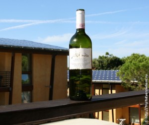 poggi_del_chianti_vino_2010_15