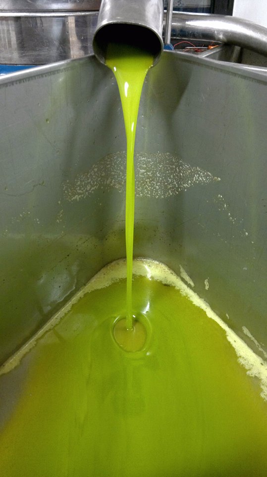 olio exteravergine di oliva - e.v.o oil