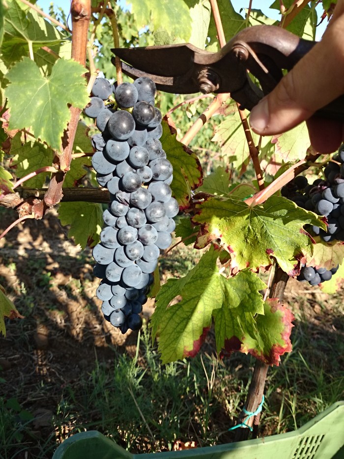 IMG_20140911_171800[1]