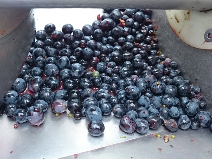 IMG_20140911_190924[1]