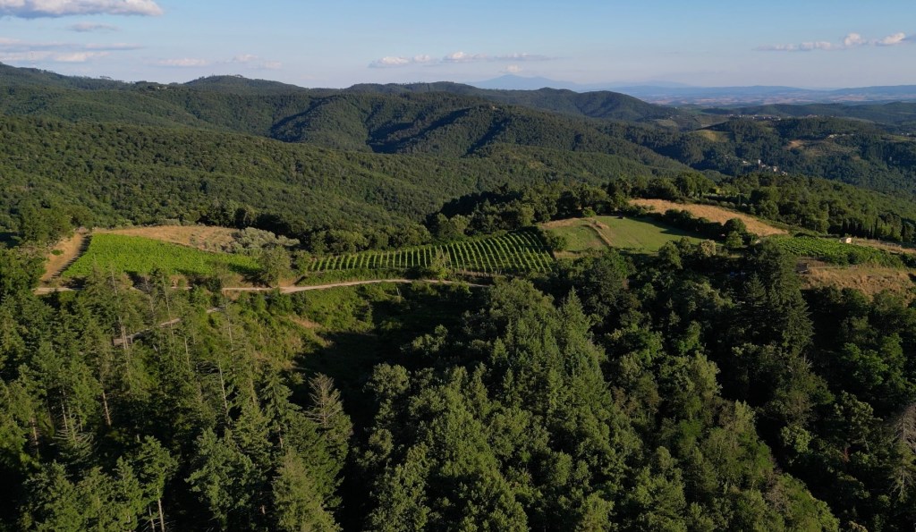 Gaiole in chianti - siena